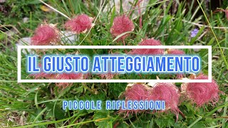 IL GIUSTO ATTEGGIAMENTO [upl. by Adnana]