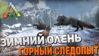 ARKSURVIVAL EVOLVED  ЗИМНИЙ ОЛЕНЬ ГОРНЫЙ СЛЕДОПЫТ11 [upl. by Ahsyle]