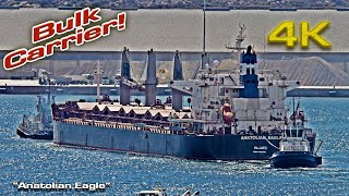 quotAnatolian Eaglequot Bulk Carrier Cartagena [upl. by Malory]