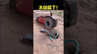 Snake drop made with a drill machinesnake shorts ytshorts youtubeshorts [upl. by Ardna]