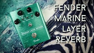 Fender Marine Layer Reverb Review [upl. by Kimbell]