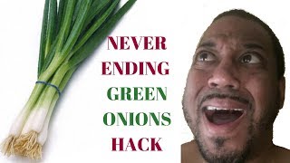 Never Ending Green Onions Cooking Hack  Magic Scallions [upl. by Nata]