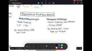 Acid Base Balance [upl. by Ashlin675]