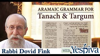 Aramaic Grammar for Tanach amp Targum Part 1 [upl. by Ahsiekat474]