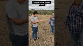 buscando el agua Para un Pozo artesanal pozos  fypシ゚viral shorts short agua radiestesia [upl. by Alaj799]