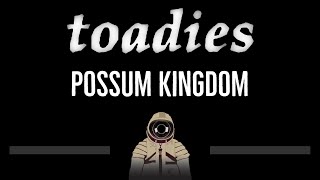 Toadies • Possum Kingdom CC 🎤 Karaoke Instrumental Lyrics [upl. by England555]