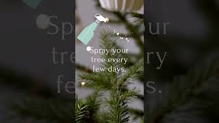 DIY Cat Deterrent Spray Protect Your Christmas Tree and Your Cat [upl. by Verda]