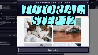 freeCodeCamp  CSS Flexbox Photo Gallery Tutorial Step 12 [upl. by Leonteen]