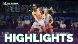 quotThis is going to be BRUTALquot 💀 El Hammamy vs Fiechter  Egyptian Open 2022  QF HIGHLIGHTS [upl. by Zoarah878]