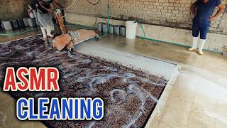 sewer overflowdirty carpet cleaning  Satisfying rug cleaning ASMR [upl. by Enitsenre]