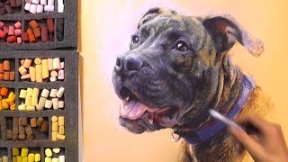 Titus Pet Portrait Painting with Pastels [upl. by Ssac]