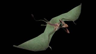 Pteranodon Ice Age Dawn of the Dinosaurs Sounds [upl. by Gasser]