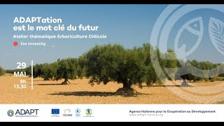 Atelier thématique arboriculture oléicole – Programme ADAPT Sfax Tunisie 2024 [upl. by Tarra]