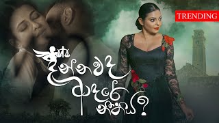 Dannawada Adare Neethiya  දන්නවද ආදරේ නීතිය  Abhisheka Wimalaweera  Official Music Video [upl. by Urien471]