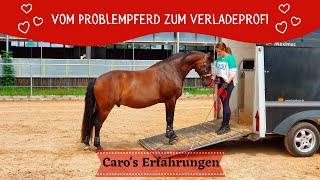 🐴 Probleme beim Verladen Deines Pferdes Caros Erfahrungsbericht ❤🥰👏 [upl. by Stoddart203]