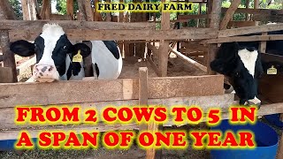 From 2 cows to 5 in a span of one year [upl. by Sucramraj]