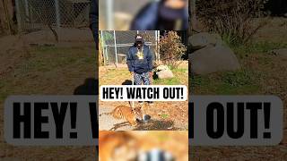 OUTKAST’S BIG BOI LEARNS CAT LOVE HURTS outkast hiphoplegend bigboi [upl. by Awram]