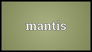 Mantis Meaning [upl. by Eerrehc494]