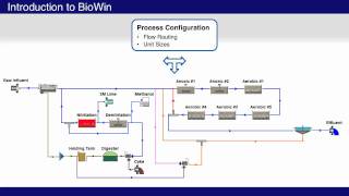 What is BioWin [upl. by Dnaletak]