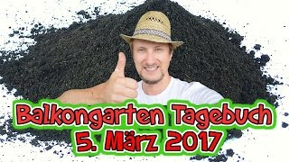 Balkongarten Tagebuch 5 März 2017  Hochbeet mit Erde befüllen [upl. by Burman]