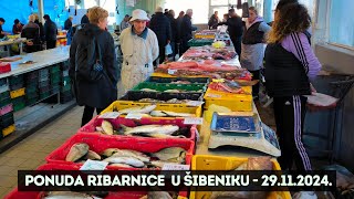 RIBARNICA u Šibeniku Krenule LIGNJE i SIPE Nema Black Friday popusta Odlična ponuda [upl. by Zelma]