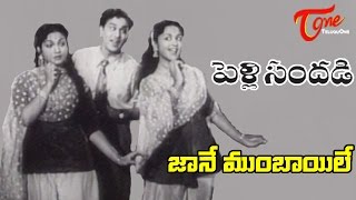 Pelli Sandadi Movie Songs  Jane Bomabay Le Mama Video Song  ANR Anjali Devi [upl. by Halliday]