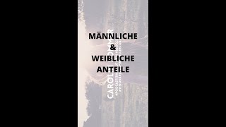 Männliche amp Weibliche Anteile [upl. by Lutim]