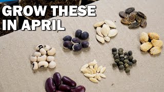 15 Seeds You Must Grow in April [upl. by Stewart]