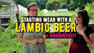 Homebrewing Mead with a Lambic Beer amp using Dragonfruit for the first time [upl. by Aiyn621]