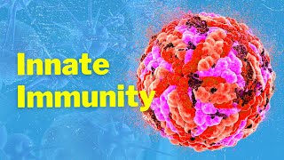 The Cells of Innate Immunity and Mechanism [upl. by Na]