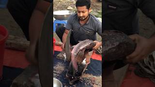 amazing Katol fish fishingvideo fishcuting fish fishcooking youtubeshorts fishing fishcutting [upl. by Lerrad]