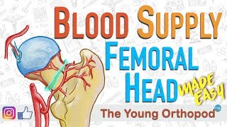 Blood Supply of Femoral Head  MADE EASY  NEET PG  Femur Anatomy  The Young Orthopod [upl. by Enetsuj]