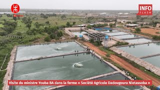 VISITE DU MINISTRE YOUBA BA DANS LA FERME « Société Agricole Dadougoura Nietassoba » [upl. by Anaderol]