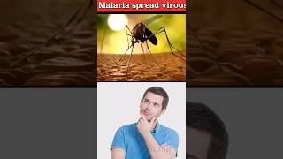 Malaria 🦟 spread virous biology spreqd humanbody [upl. by Michell]