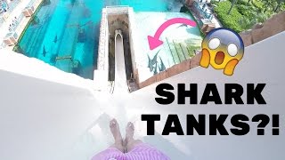 All Water Slides at Atlantis Bahamas FIRST PERSON [upl. by Devy]