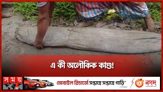 ২৮ বছর পর কবর থেকে বেরলো অক্ষত লাশ  Mirracle Incident in Chandpur  Somoy TV [upl. by Itraa]