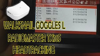 Walksnail Goggles L HeadTracking RadioMaster TX16S Setup EN Subtitles [upl. by Dituri657]