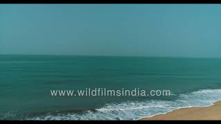 Talashil Beach  Beach dotted with fishing boats and fishermen as seen in 4K aerials [upl. by Akelahs]