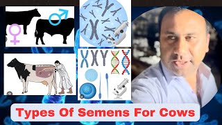 Dairy Farming Types of Semens for cows [upl. by Erialc]