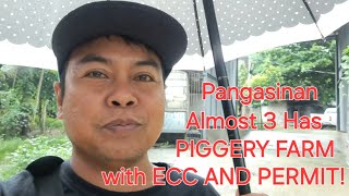 vlog 561 PIGGERY FARM WITH ECC AND PERMIT 2024ALMOST 3 HAS WITH MANGOFARM [upl. by Nylanaj547]