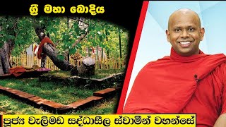 ග්‍රී මහා බොදිය  Welimada Saddaseela Thero Bana 2024 [upl. by Areid]