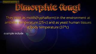 dimorphic fungi  mycologymlt study point [upl. by Urquhart781]