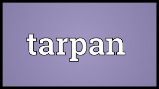 Tarpan Meaning [upl. by Dunn]