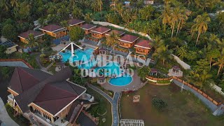 Gamboas Orchard Aerial View Malilipot albay [upl. by Ethelbert]