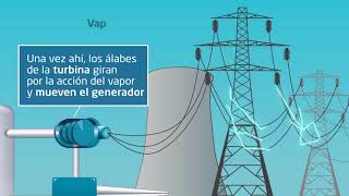 Funcionamiento de una central nuclear en un minuto [upl. by Rieth]