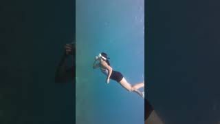 Freediving in Zambales freediving freediverlife [upl. by Bully556]