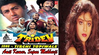 Tirchi Topi Wale Full HD Song  Tridev  Amit Kumar Sapna Mukherjee  Naseeruddin Shah Sonam [upl. by Nuahc]