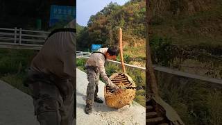 This man found a wasp hive in the forest 🌳 [upl. by Myrt652]