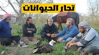 اجتمعت بأكبر تاجر خيول واعطاني حصان بدون مقابل بشرط ؟؟ الريفالسوري روتين [upl. by Sabanrab]