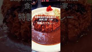 【長野県飯田市南信濃和田】食楽工房元家の特製カツカレー。 [upl. by Koziel]